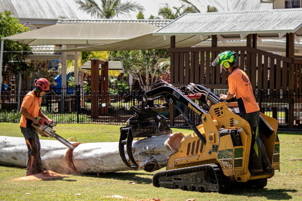 Arundel Tree Removal Services

Is that tree getting a little too close to your home?

Overgrowth trees adds pressure on roofs, gutters, and nearby structures. Cutting it back early keeps your property safer and easier to manage.

Read more: jctreeservices.com.au/tree-removal-a…