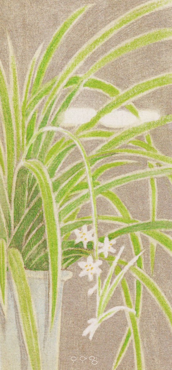 오와영 tweet media