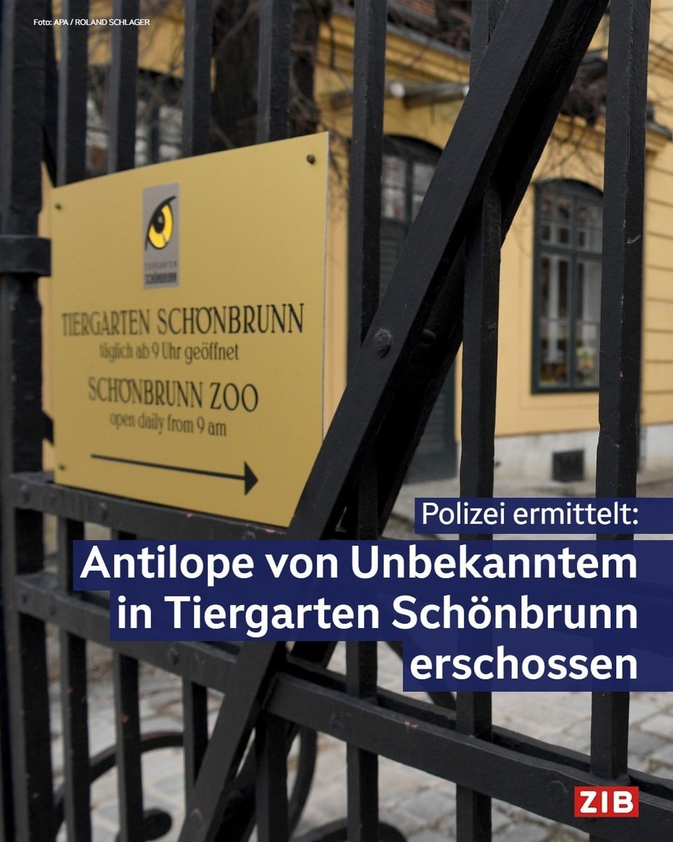 Lukas | 🌐 tweet media