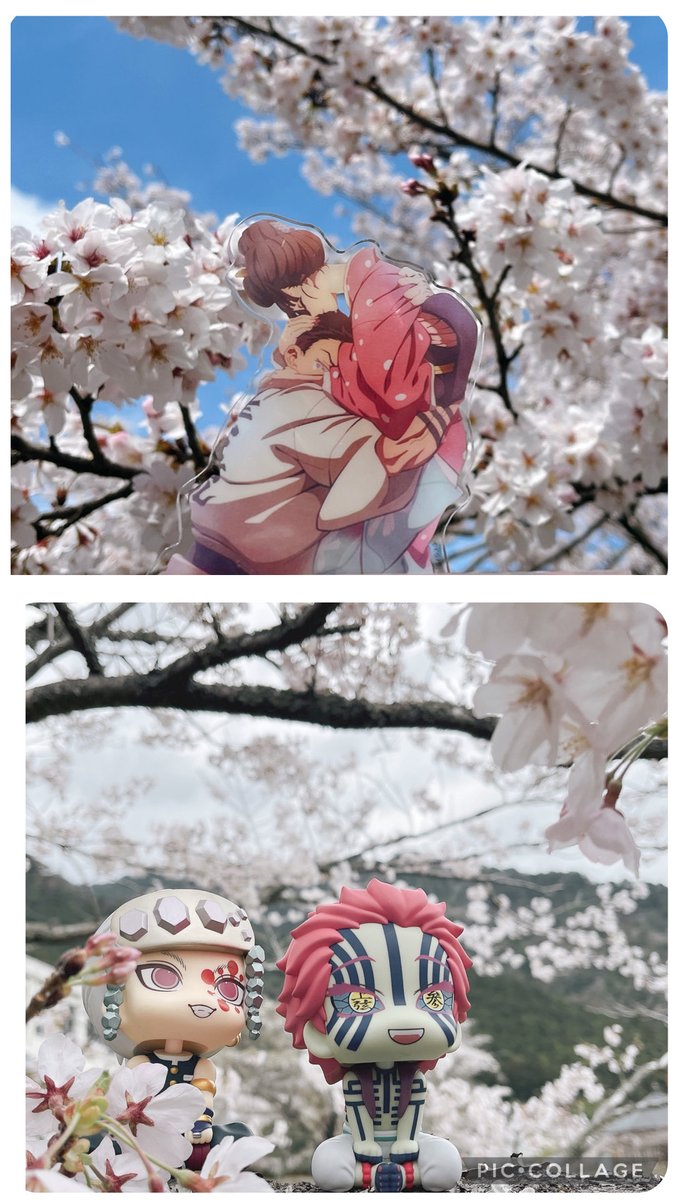 あうるぴ❉ tweet media