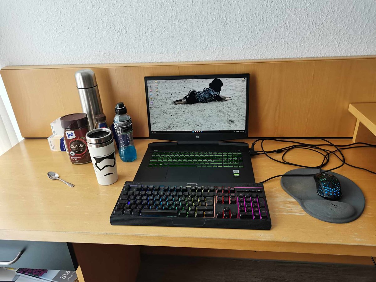 🖤💛Toby & Happy🖤💛 tweet media