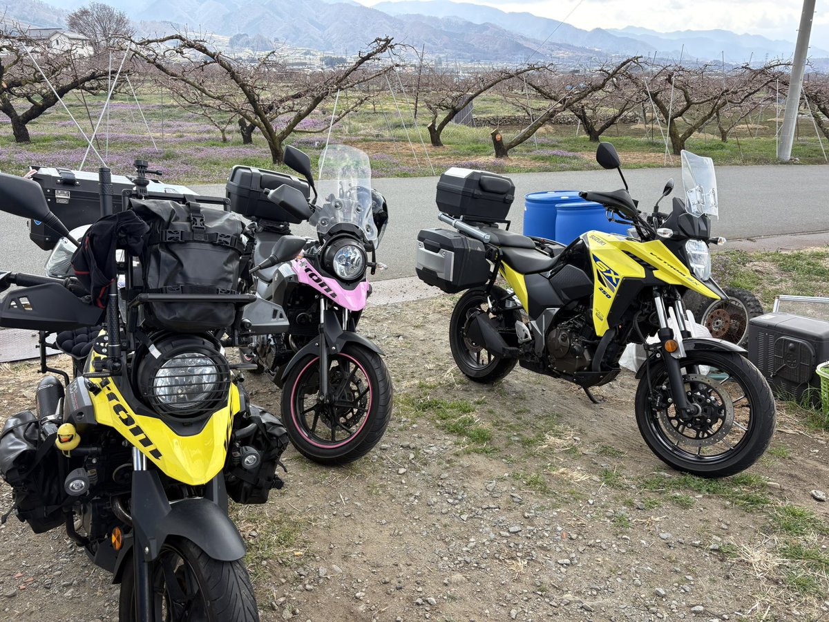 ashnov(ｱｼｭﾉﾌ) tweet media