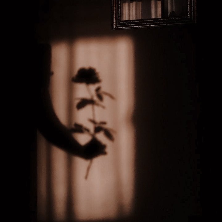 𝗬𝗼𝗸𝗮𝗶. tweet media