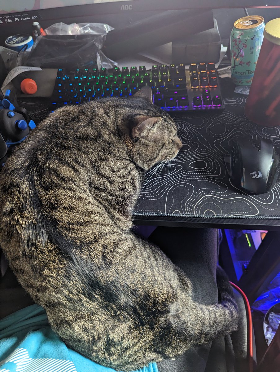 Satoshuni | Vtuber | 🚧 undergoing renovation 🚧 tweet media