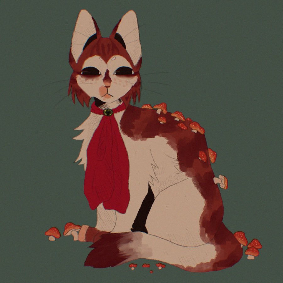 moon ⟢ tweet media