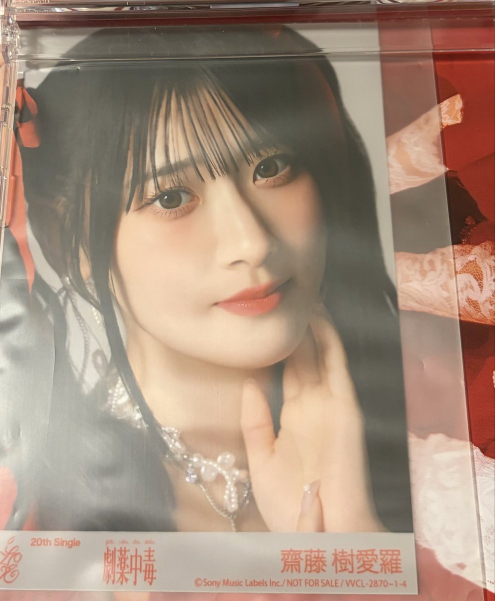 わん。 tweet media