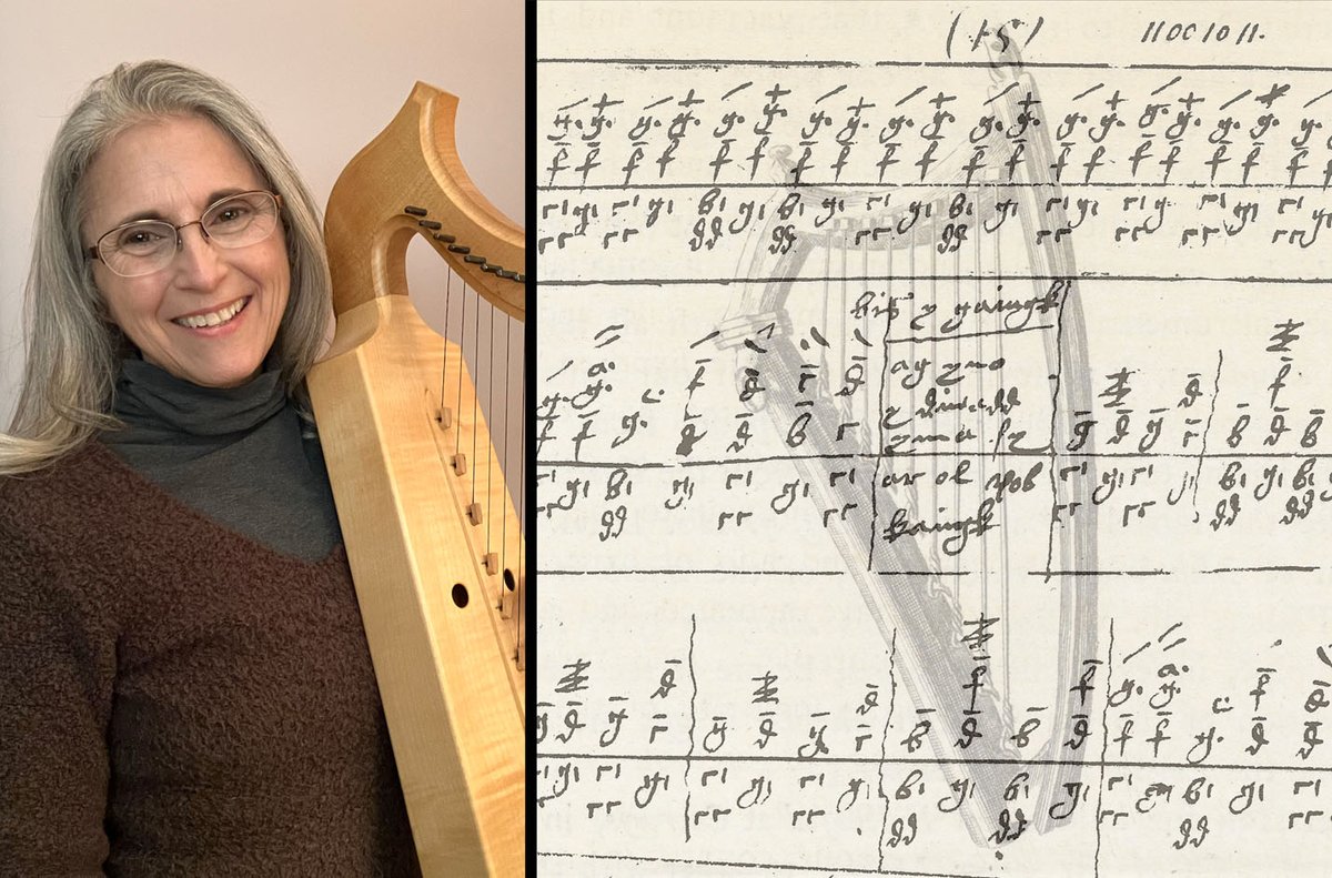 The Historical Harp Society of Ireland tweet media