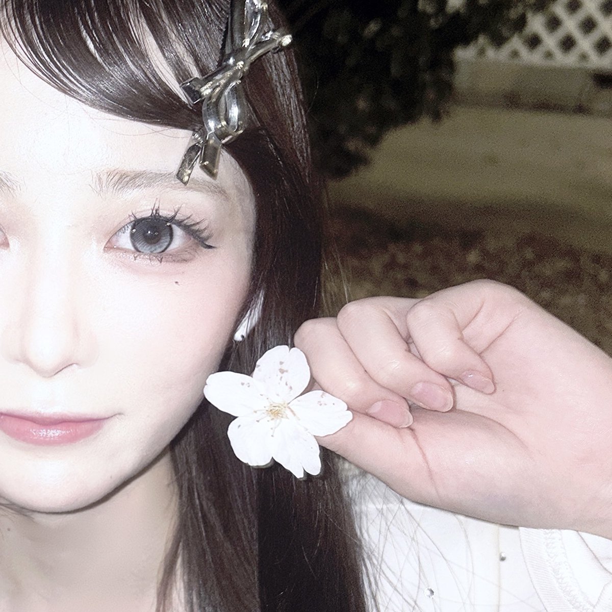 sio_pallet's tweet photo. さくら https://t.co/enh0XWltWu