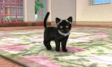 ♪⃣ 𓈒 ݁ 𓏲𝄢 tweet media