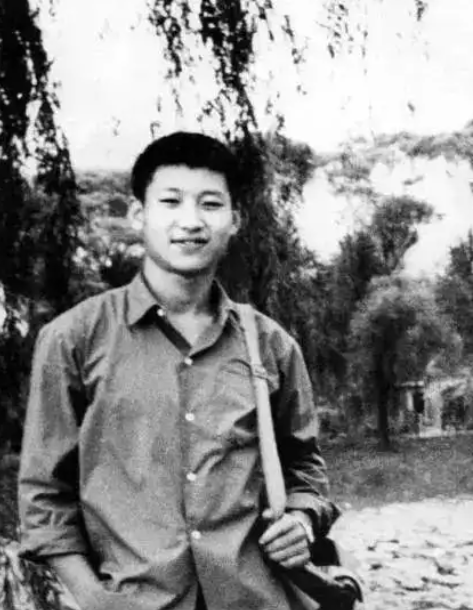 拼图者 tweet media