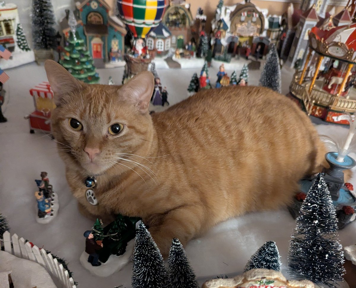 Exasperatus tweet media