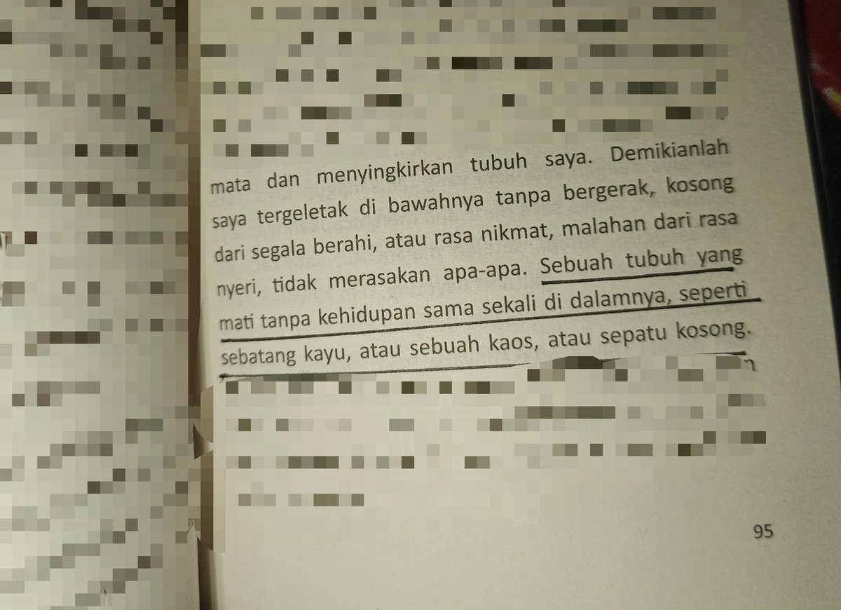 sanja ✨ tweet media