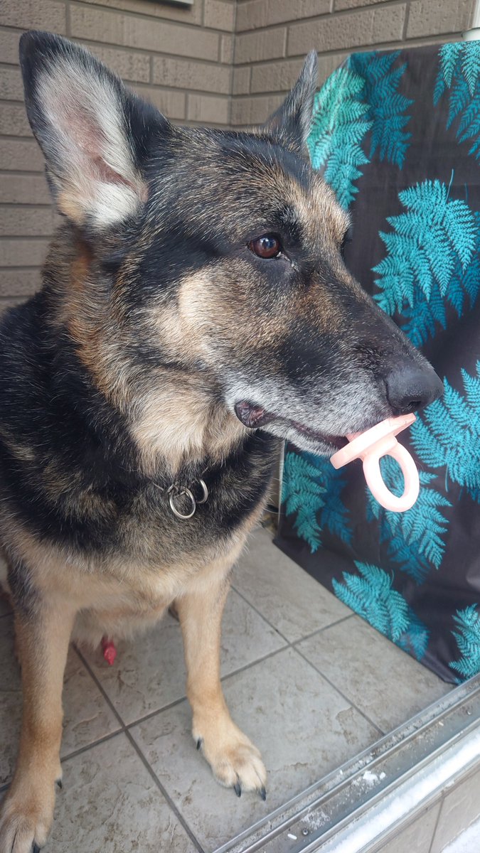 🅼🅰🆁🆂🅷🅰🅻 tweet media