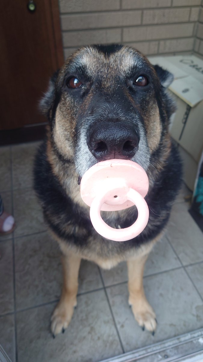 🅼🅰🆁🆂🅷🅰🅻 tweet media