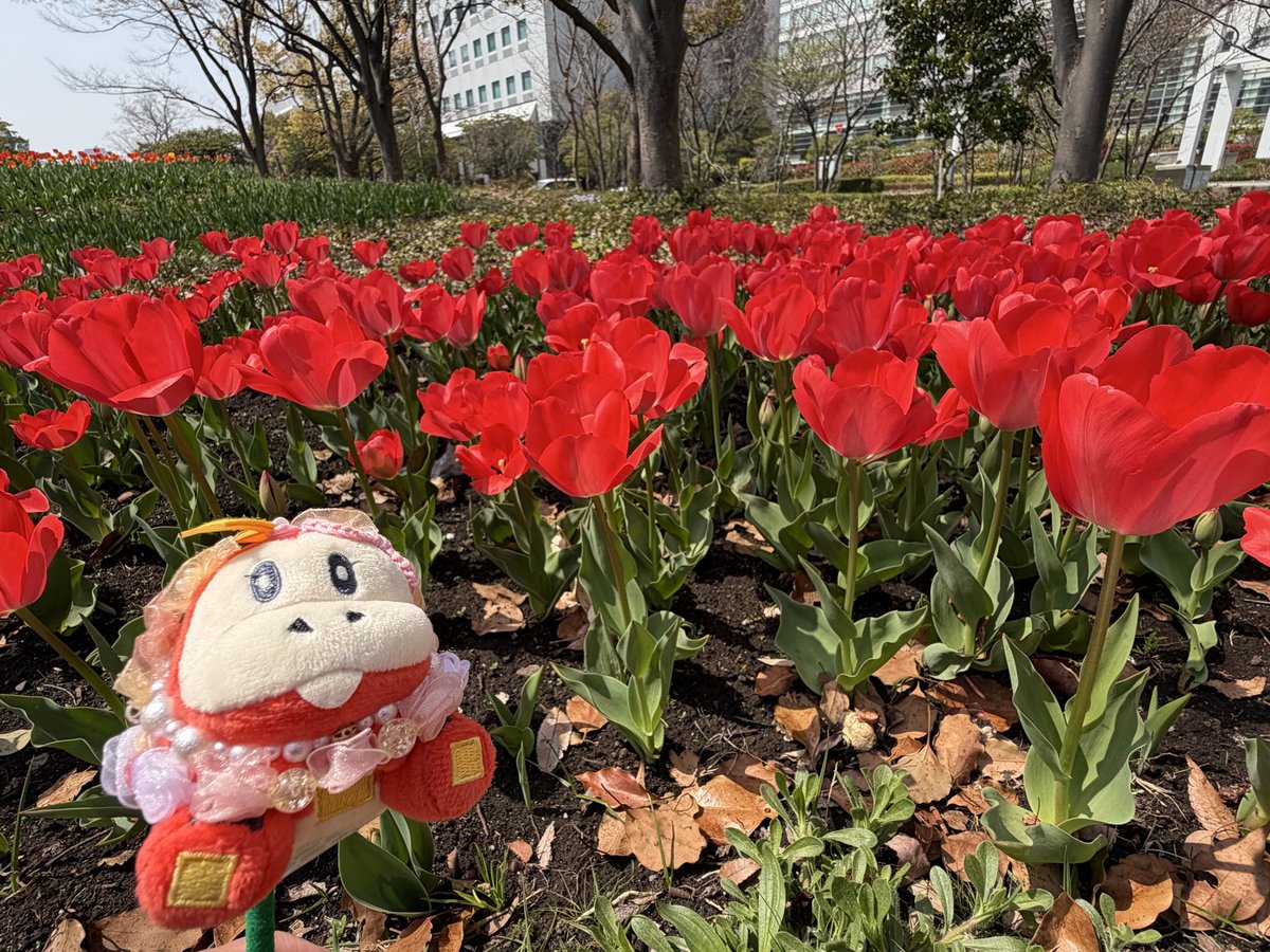 きゅん tweet media