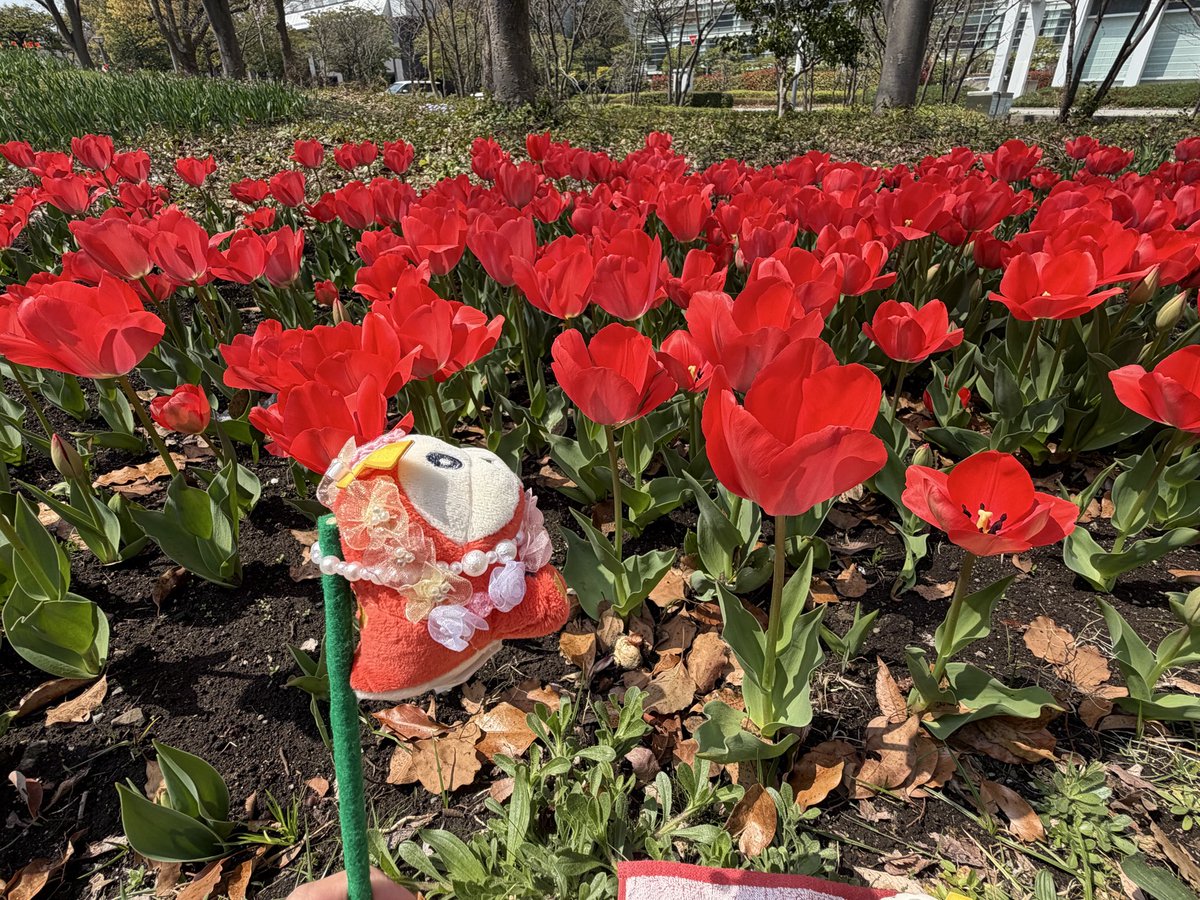 きゅん tweet media