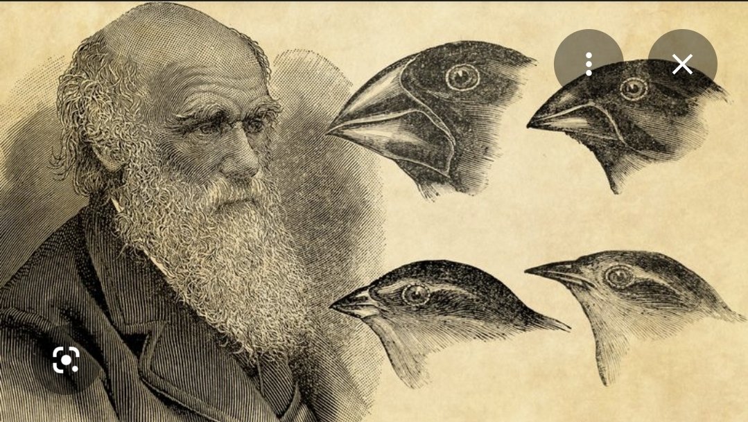 mathyouf tweet media