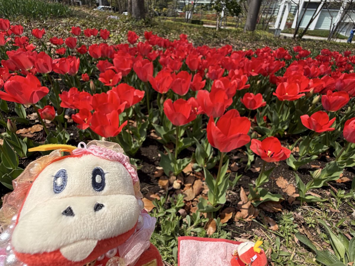 きゅん tweet media