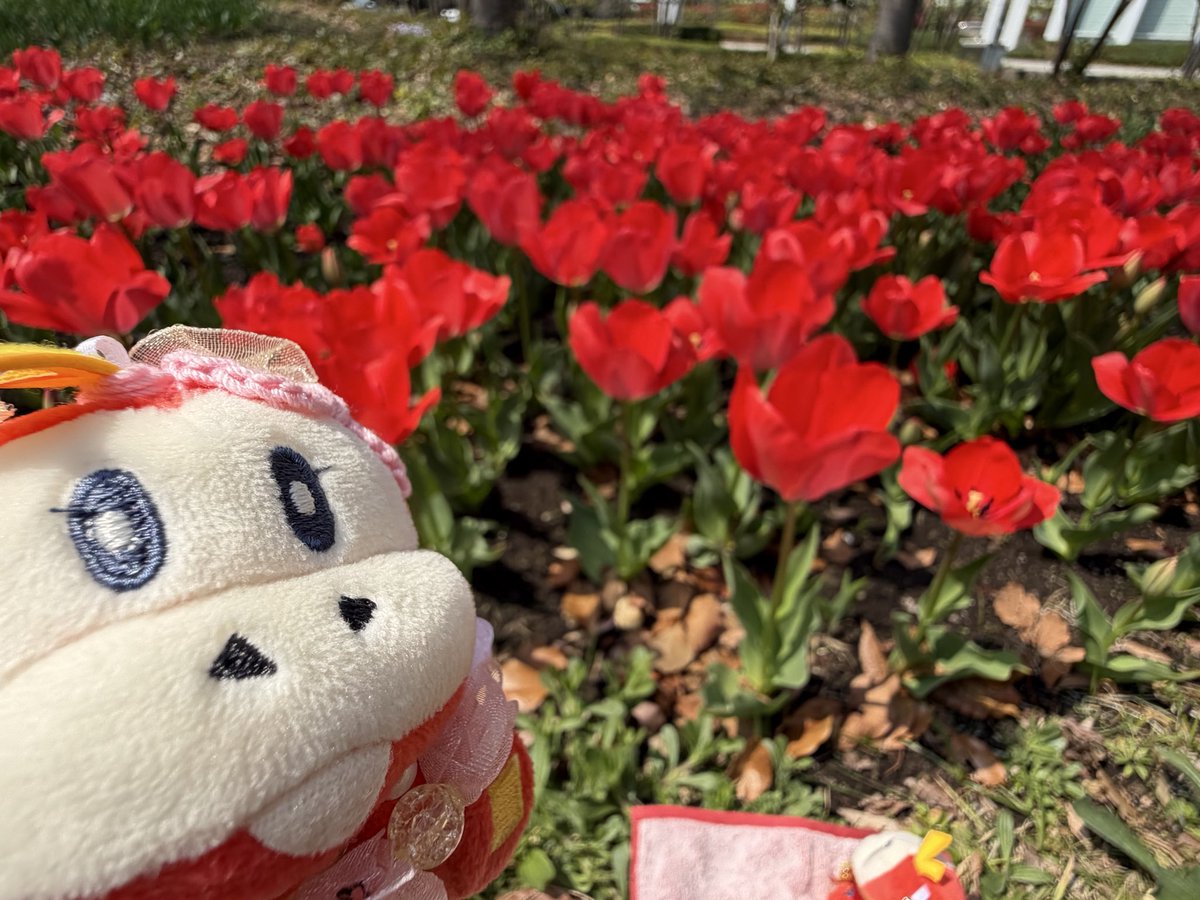 きゅん tweet media