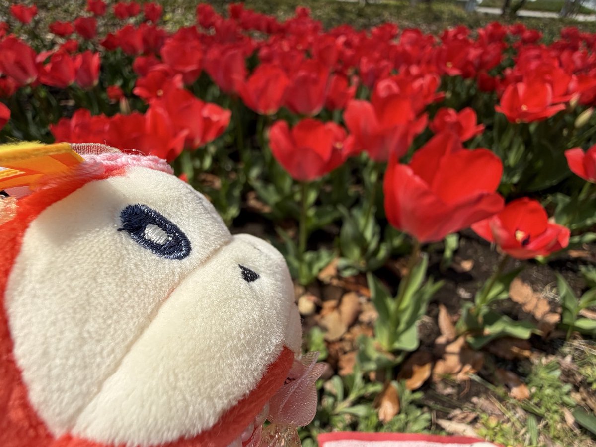 きゅん tweet media