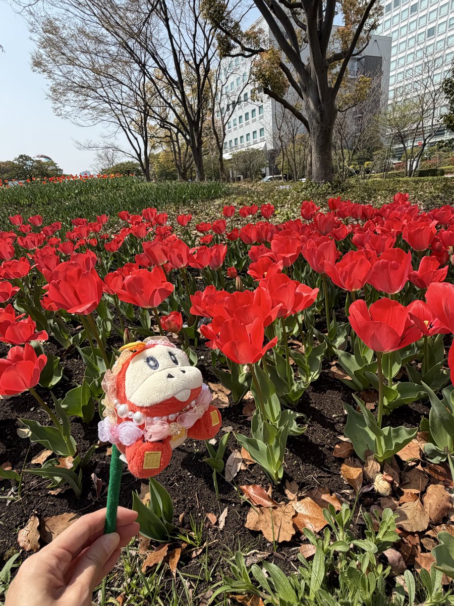 きゅん tweet media