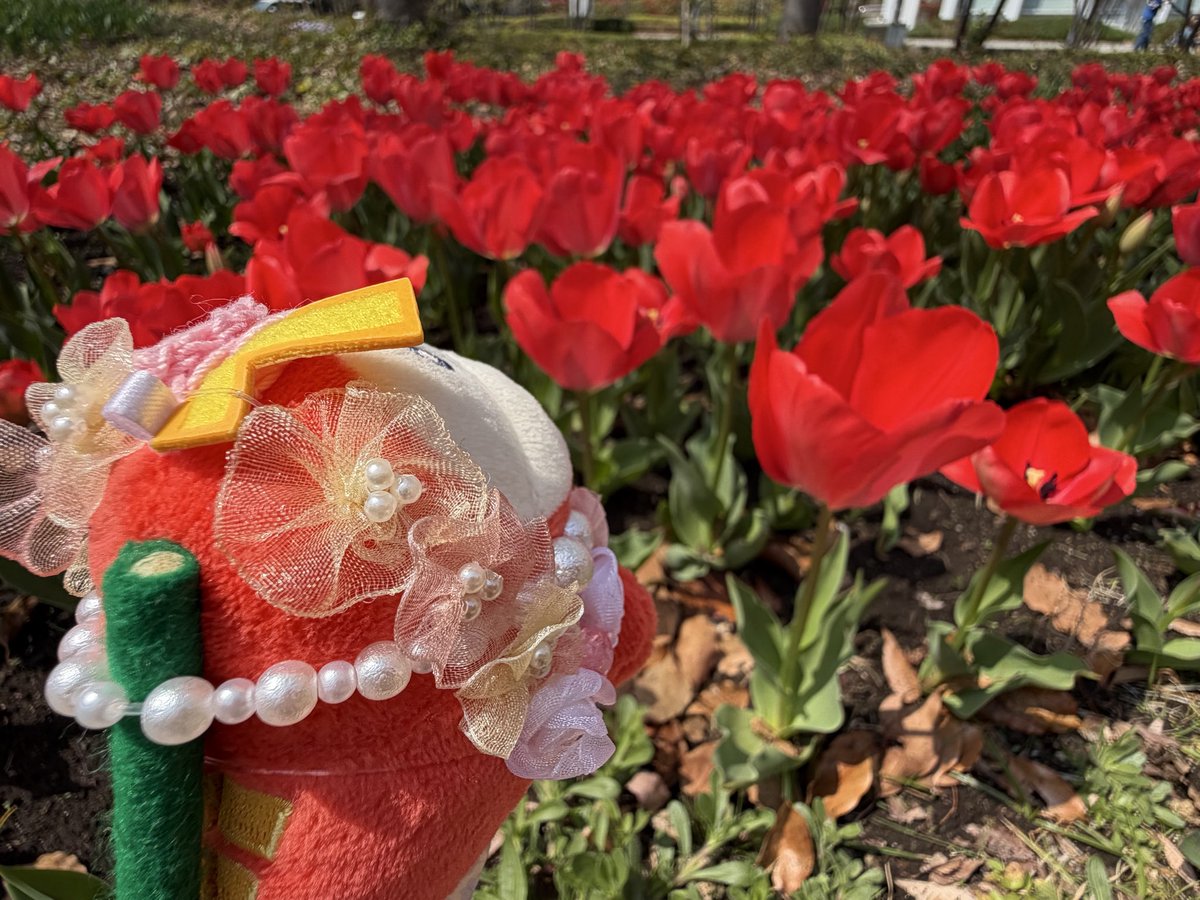 きゅん tweet media