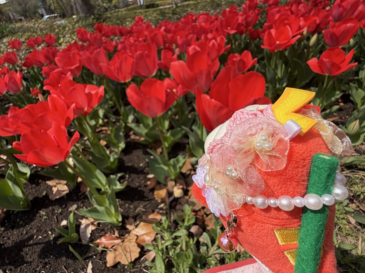 きゅん tweet media