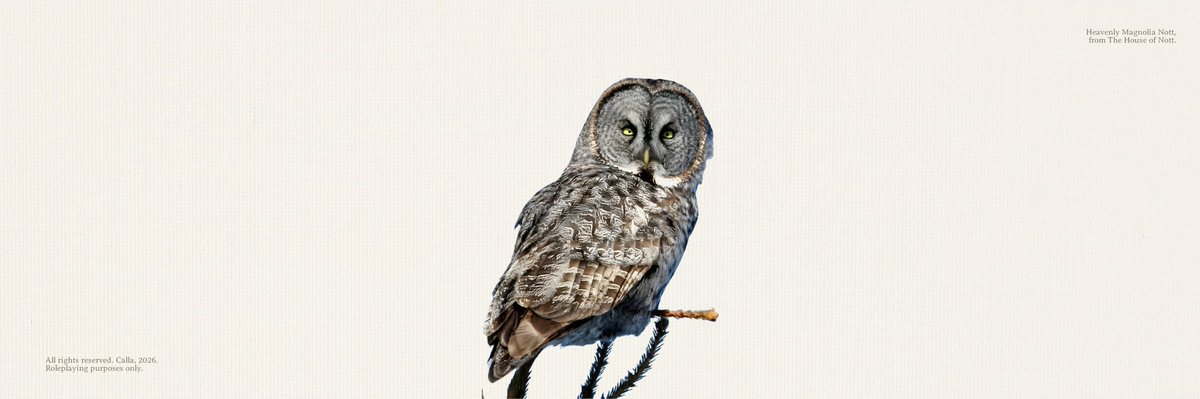 ListOfFoes's tweet photo. ⠀⠀⠀
⠀⠀𝓗eavenly gave a treat to the gray owl in front of her, Dorian Gray, and said, “Please deliver these letters (tiny. cc/3251101) to their respective addresses, alright? Don’t get lost.”
⠀⠀ https://t.co/9I5SGS7YZv