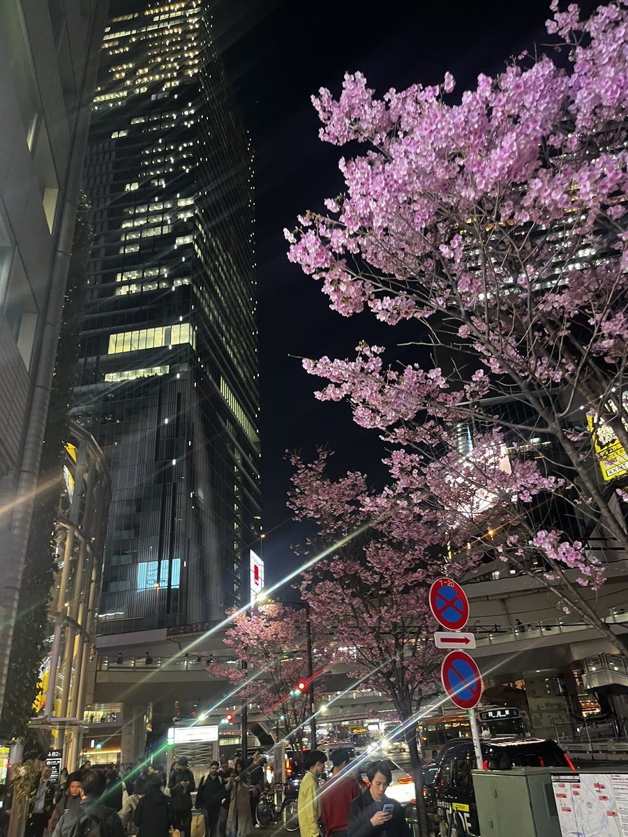 づま。 tweet media