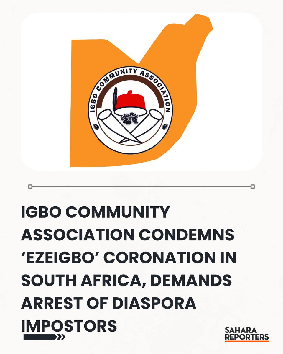 P-Dave🛡️ tweet media