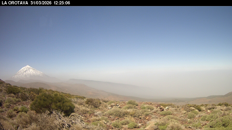 Rubén del Campo tweet media