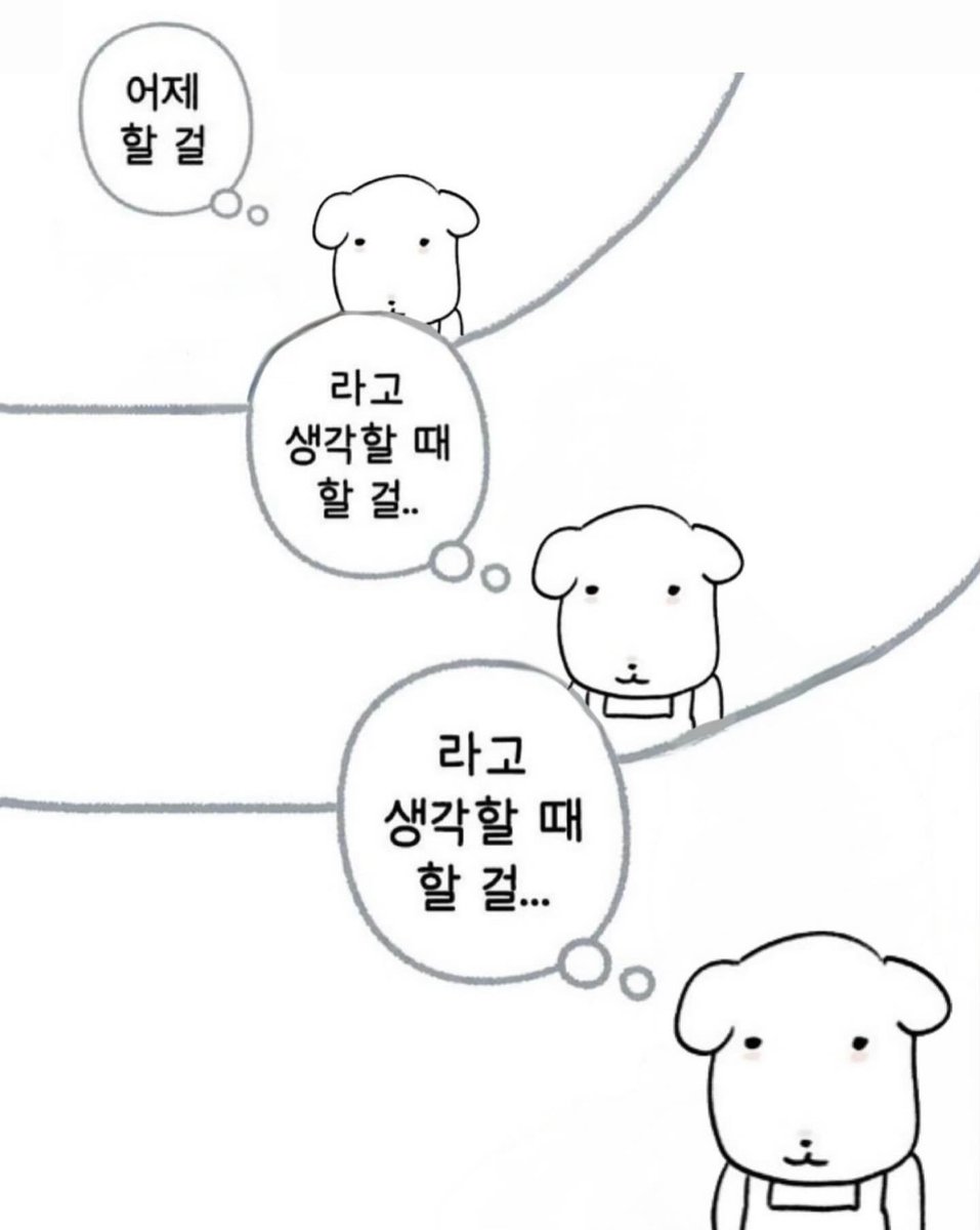 원숭이 tweet media