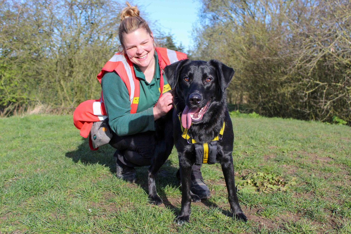 DT_Darlington's tweet image. 💔 There is a new heartbreaker in town… meet Toby 💔

He gives the most amazing cuddles and has the best #TongueOutTuesday pose 😛

dogstrust.org.uk/rehoming/dogs/…

#DogsTrust #DogsTrustDarlington #Rescue #AdoptDontShop #ToT #HappyBoy
