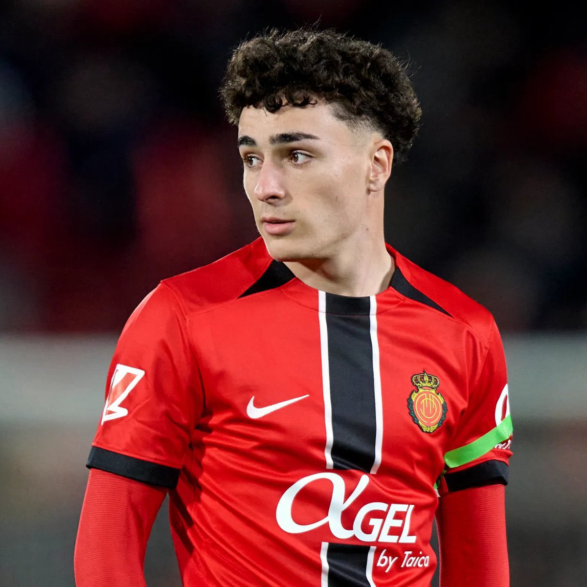 ๐๐๐๐๐๐๐๐๐ ๐ธ๐ฆ tweet media