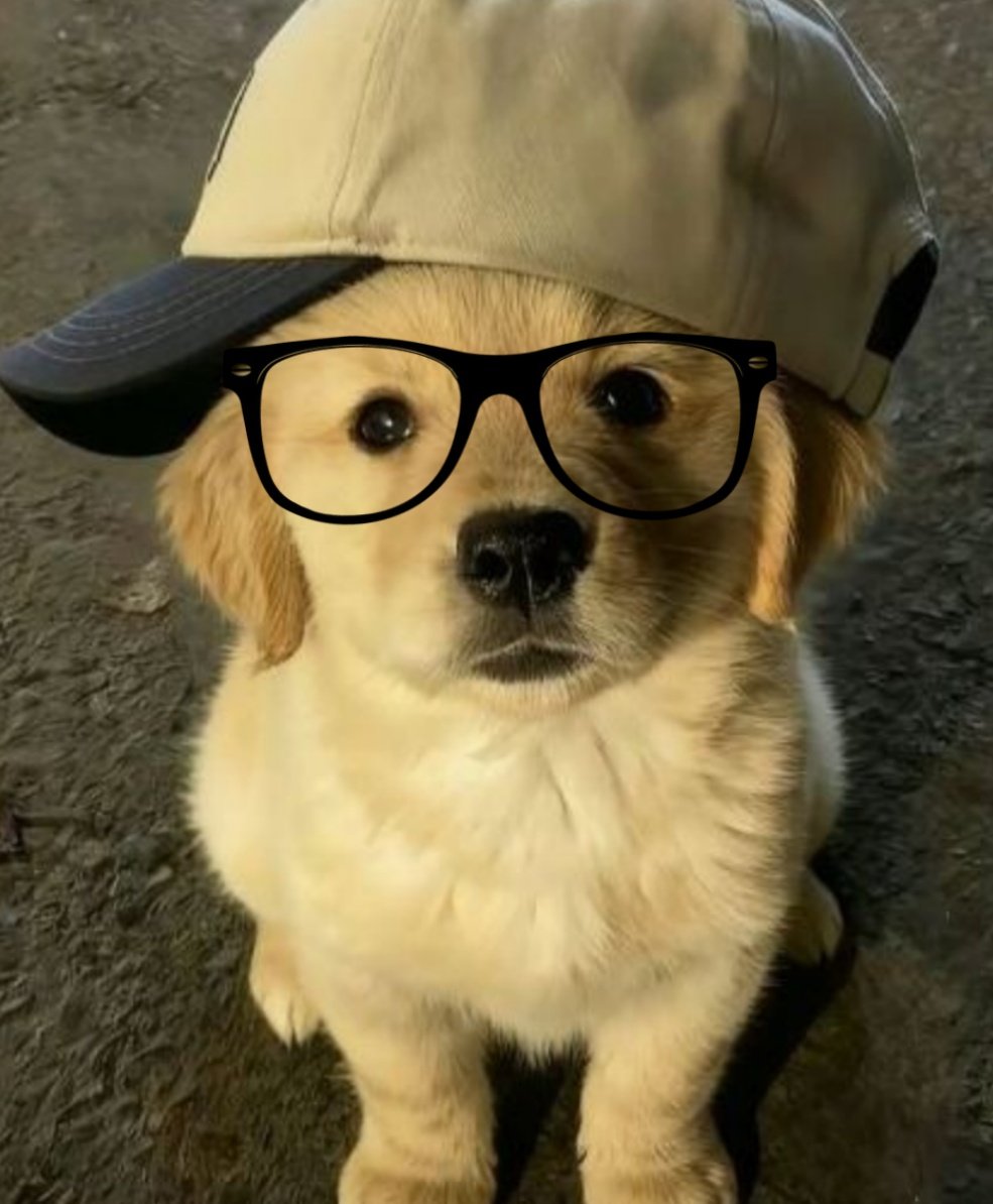 bvnd 🦮 | bundJakeSim backup acc tweet media