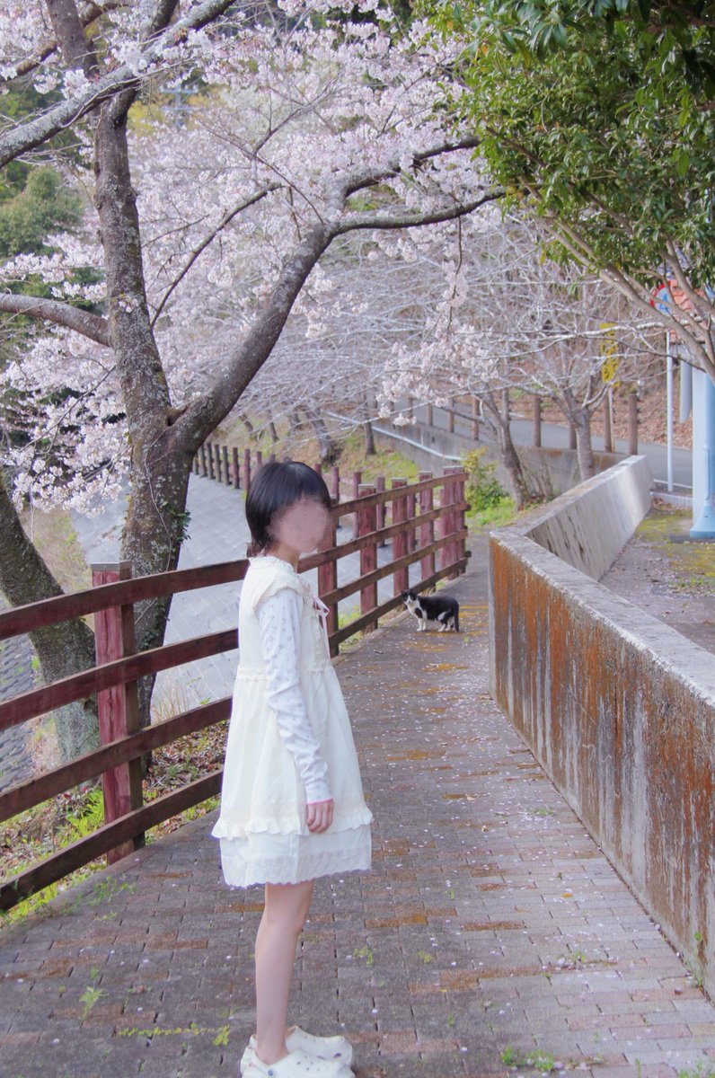 カビあまちゃん。 tweet media