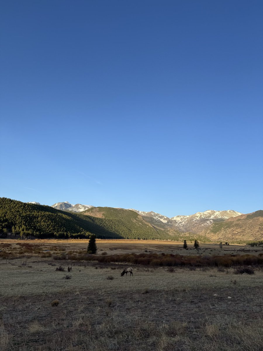 Rachel Dashiell, CFP, CMT tweet media