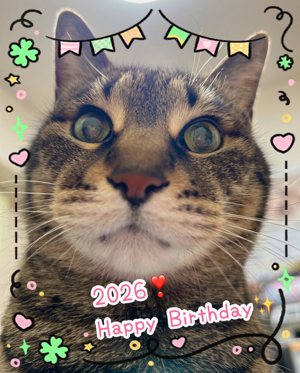 ふじみや💖スパコミ【5日】東7-F04a 【6日】東7-Ｓ72a tweet media