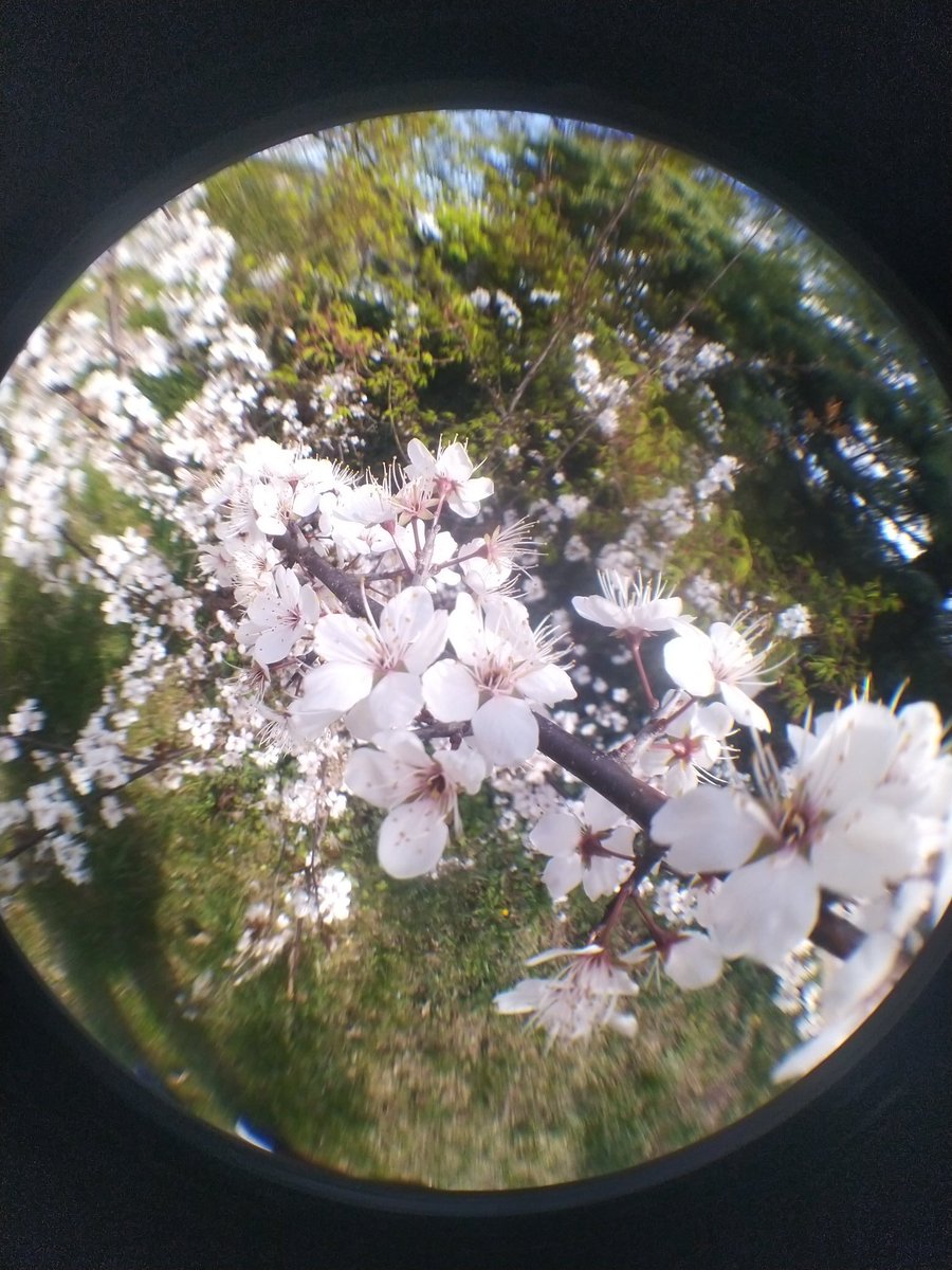 Giedrė Grižaitė 🤙🏻 tweet media