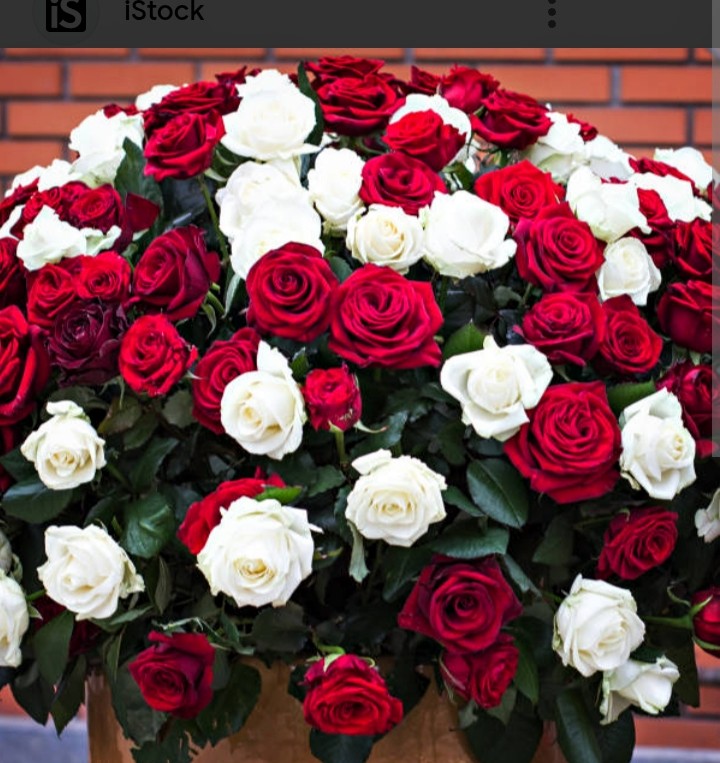 Krzysztof słony Solak tweet media