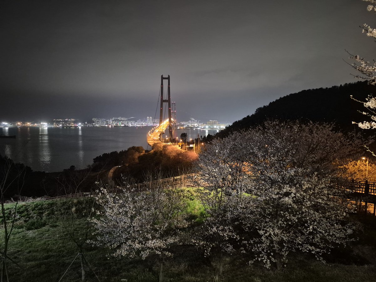 전하억ㆍ詩人 tweet media