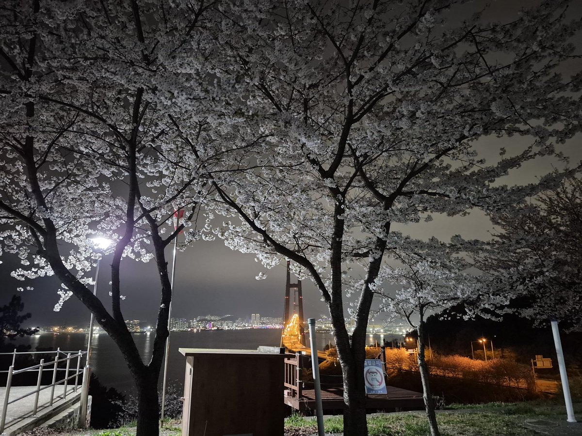 전하억ㆍ詩人 tweet media