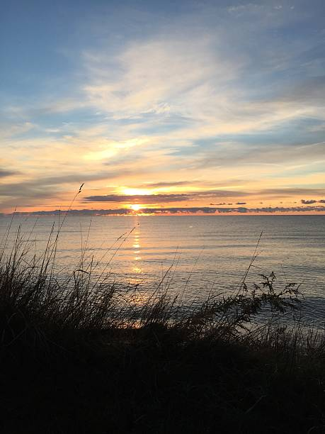 ZenfinityDesigns tweet media