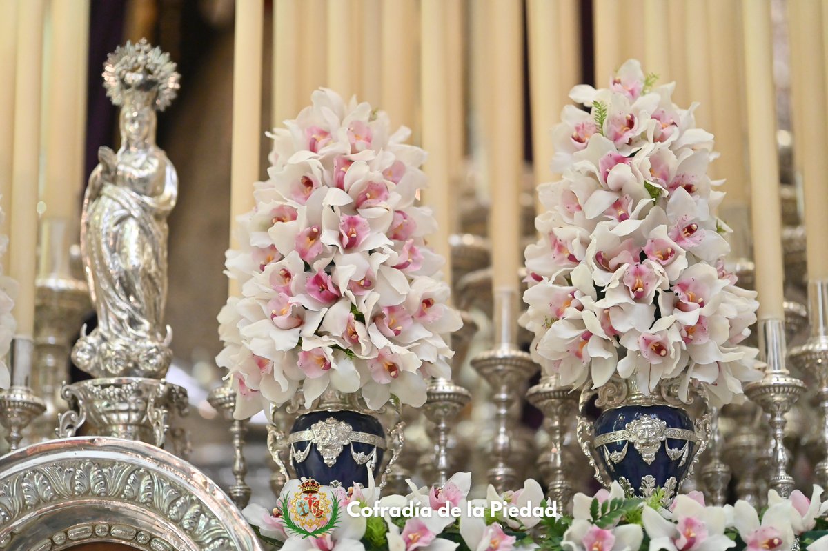 Cofradía de La Piedad Cádiz tweet media