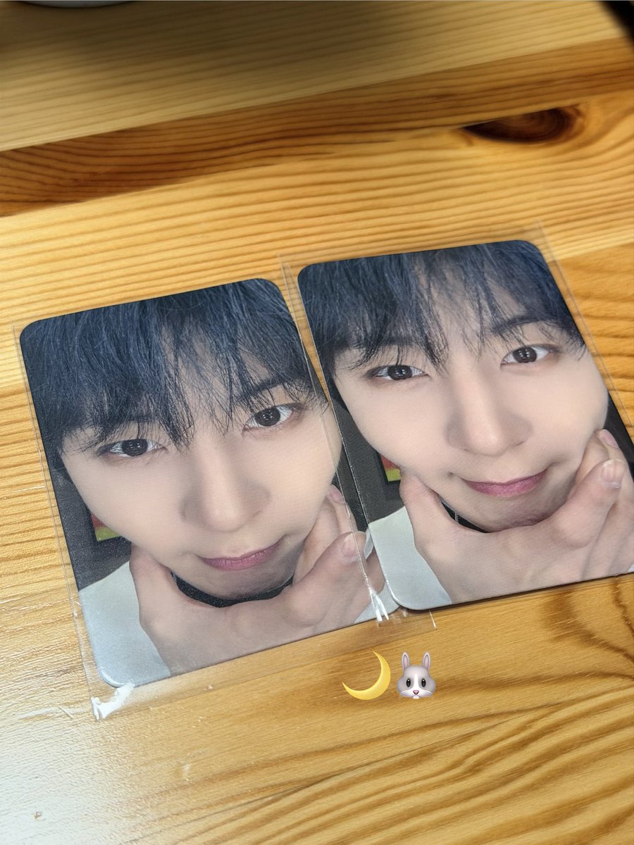 달토끼♥︎ tweet media