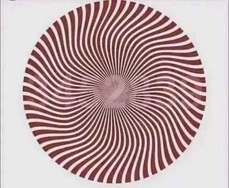 Fan Mazi Tuunde tweet media