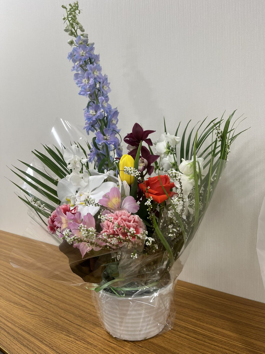 𝚑𝚊𝚗𝚊ꕥ tweet media