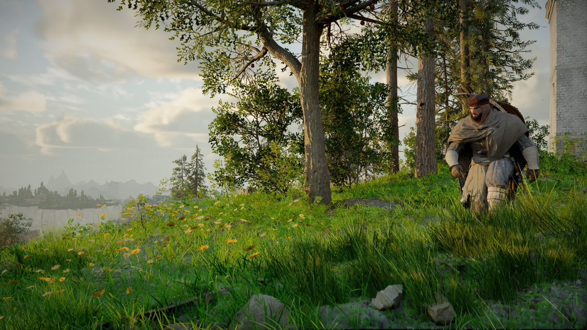 ないき🐥🫎 tweet media