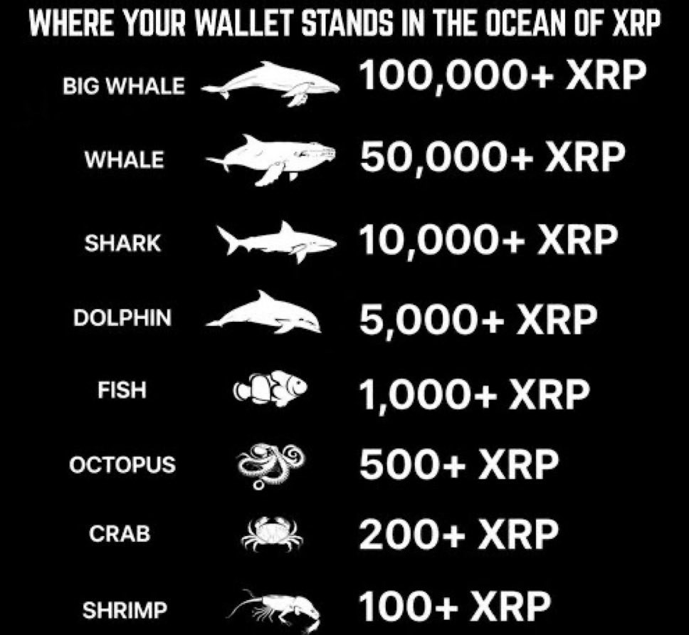 COACH TY tweet media