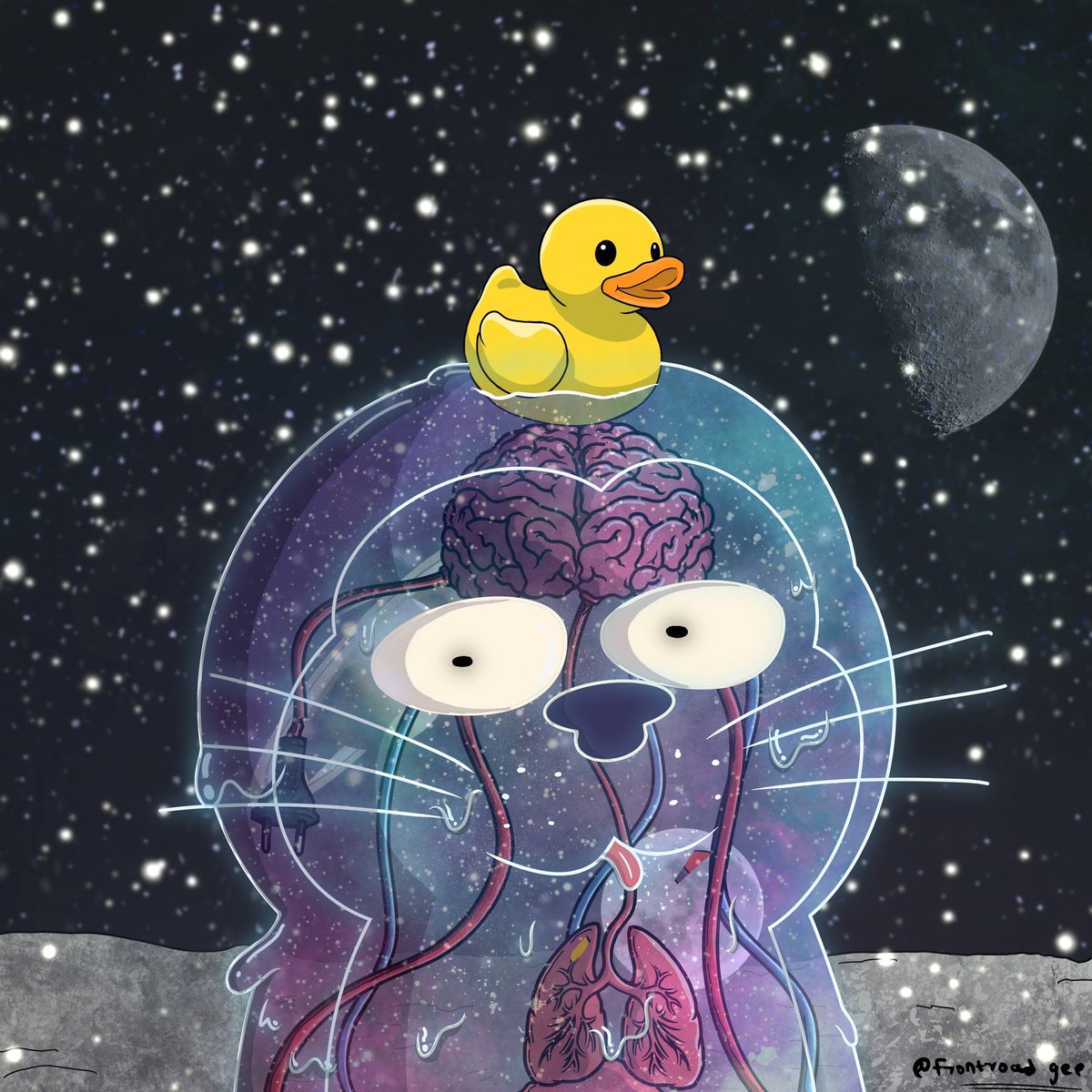 Frontroad gee(ber/acc).🐻 ⛓️ tweet media